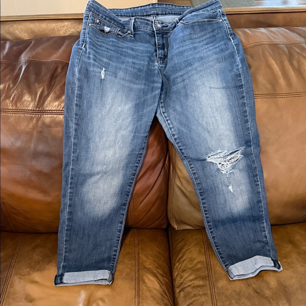 Signature by Levi Strauss Blue Boyfriend Jeans